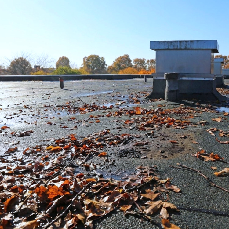Pressure Washing Services in Charlotte, NC